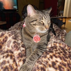 Meet your Posher, Amanda